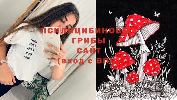 молекула духа Ладушкин