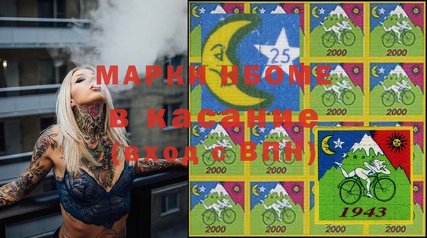молекула духа Ладушкин