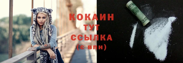 твердый Лагань