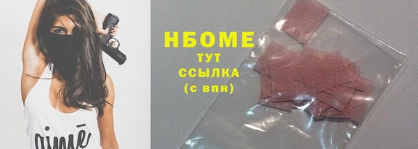 твердый Лагань