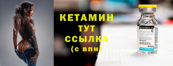 молекула духа Ладушкин