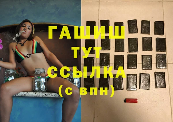 молекула духа Ладушкин