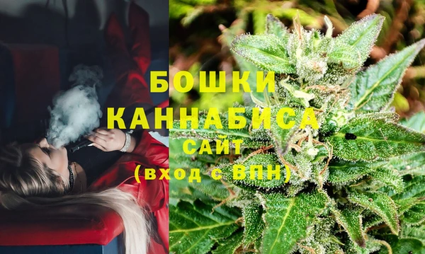 молекула духа Ладушкин