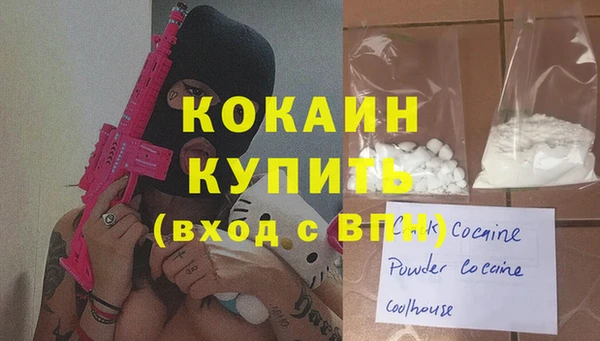 молекула духа Ладушкин