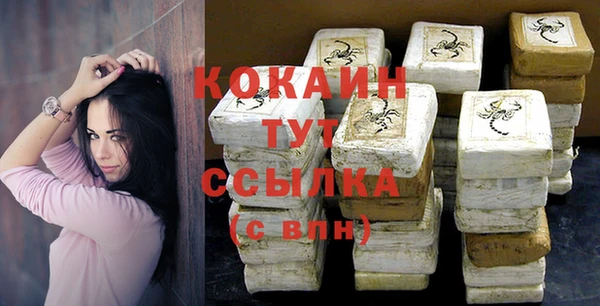 молекула духа Ладушкин