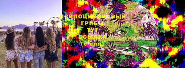 молекула духа Ладушкин