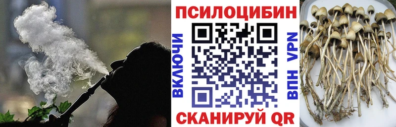 mega ТОР  Харабали  Псилоцибиновые грибы прущие грибы 